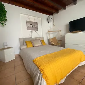 happy-house-nane.puertodelcarmen-hotels.org/
